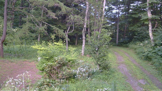 長野県菅平高原 ゆたか山荘 坂上 2026/08/07 16:15