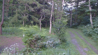 長野県菅平高原 ゆたか山荘 坂上 2026/08/07 16:45