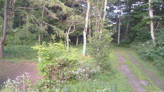 長野県菅平高原 ゆたか山荘 坂上 2026/08/07 17:00