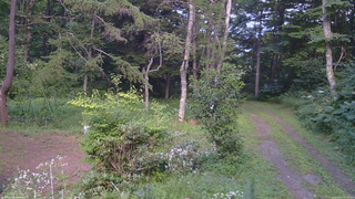 長野県菅平高原 ゆたか山荘 坂上 2026/08/07 17:15