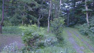 長野県菅平高原 ゆたか山荘 坂上 2026/08/07 17:30