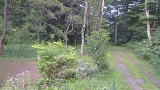 長野県菅平高原 ゆたか山荘 坂上 2026/08/07 17:45