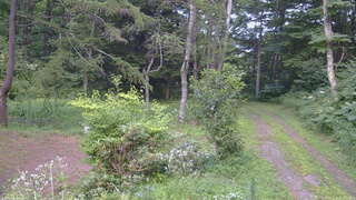 長野県菅平高原 ゆたか山荘 坂上 2026/08/07 18:00