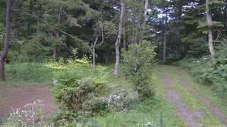 長野県菅平高原 ゆたか山荘 坂上 2026/08/07 18:15