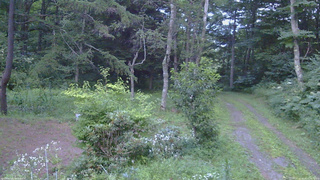 長野県菅平高原 ゆたか山荘 坂上 2026/08/07 18:30