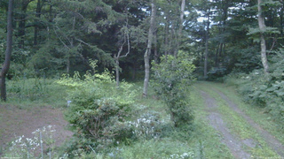 長野県菅平高原 ゆたか山荘 坂上 2026/08/07 18:45