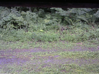 長野県菅平高原 ゆたか山荘 東側(坂下) 2026/08/08 11:00