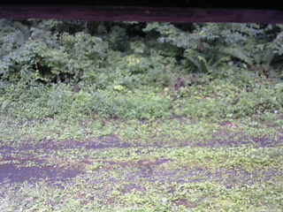 長野県菅平高原 ゆたか山荘 東側(坂下) 2026/08/08 11:45