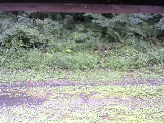 長野県菅平高原 ゆたか山荘 東側(坂下) 2026/08/08 13:15