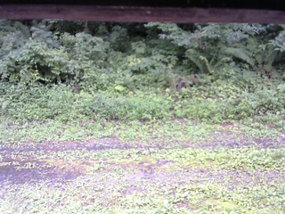 長野県菅平高原 ゆたか山荘 東側(坂下) 2026/08/08 14:15
