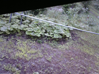 長野県菅平高原 ゆたか山荘 駐車場 2026/08/08 06:15