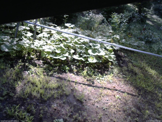 長野県菅平高原 ゆたか山荘 駐車場 2026/08/08 07:30