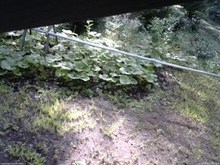 長野県菅平高原 ゆたか山荘 駐車場 2026/08/08 07:45