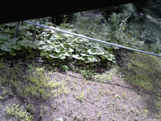 長野県菅平高原 ゆたか山荘 駐車場 2026/08/08 08:00