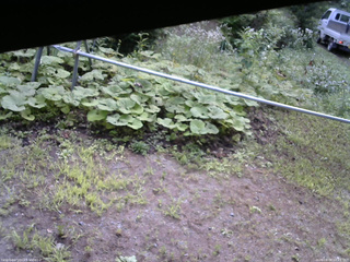 長野県菅平高原 ゆたか山荘 駐車場 2026/08/08 08:15