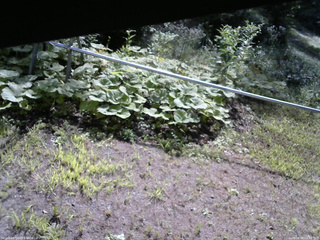 長野県菅平高原 ゆたか山荘 駐車場 2026/08/08 08:30