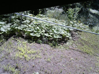 長野県菅平高原 ゆたか山荘 駐車場 2026/08/08 08:45