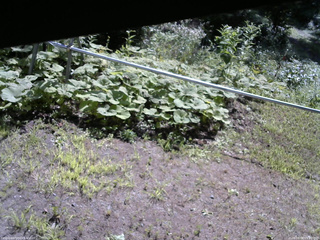 長野県菅平高原 ゆたか山荘 駐車場 2026/08/08 09:00