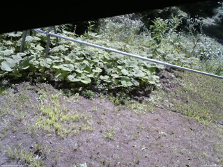 長野県菅平高原 ゆたか山荘 駐車場 2026/08/08 09:15