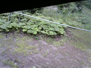 長野県菅平高原 ゆたか山荘 駐車場 2026/08/08 10:00