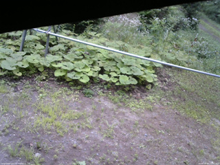 長野県菅平高原 ゆたか山荘 駐車場 2026/08/08 10:15