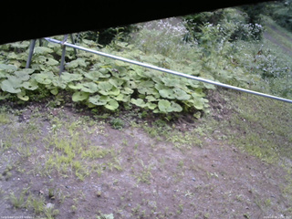 長野県菅平高原 ゆたか山荘 駐車場 2026/08/08 10:30