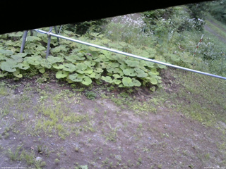 長野県菅平高原 ゆたか山荘 駐車場 2026/08/08 10:45