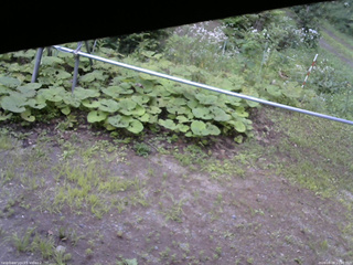 長野県菅平高原 ゆたか山荘 駐車場 2026/08/08 11:00