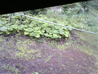 長野県菅平高原 ゆたか山荘 駐車場 2026/08/08 11:15
