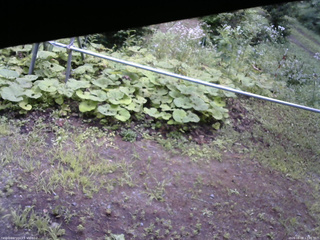 長野県菅平高原 ゆたか山荘 駐車場 2026/08/08 12:00
