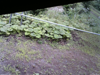 長野県菅平高原 ゆたか山荘 駐車場 2026/08/08 12:15