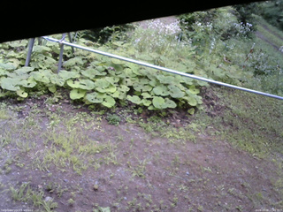 長野県菅平高原 ゆたか山荘 駐車場 2026/08/08 12:45