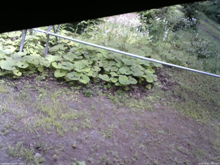 長野県菅平高原 ゆたか山荘 駐車場 2026/08/08 13:00