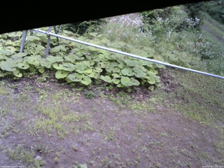 長野県菅平高原 ゆたか山荘 駐車場 2026/08/08 13:15