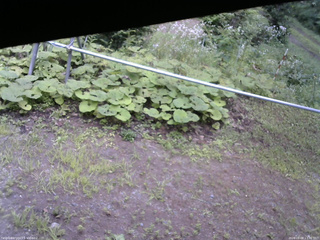 長野県菅平高原 ゆたか山荘 駐車場 2026/08/08 13:30