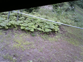 長野県菅平高原 ゆたか山荘 駐車場 2026/08/08 14:00