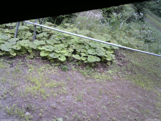 長野県菅平高原 ゆたか山荘 駐車場 2026/08/08 14:30