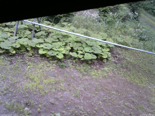 長野県菅平高原 ゆたか山荘 駐車場 2026/08/08 14:45
