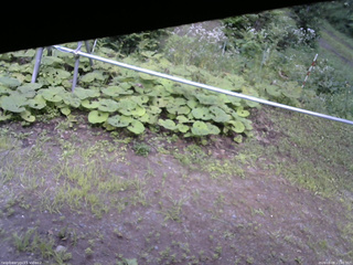長野県菅平高原 ゆたか山荘 駐車場 2026/08/08 15:00
