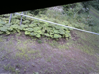 長野県菅平高原 ゆたか山荘 駐車場 2026/08/08 15:15