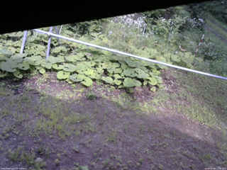 長野県菅平高原 ゆたか山荘 駐車場 2026/08/08 15:30