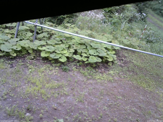 長野県菅平高原 ゆたか山荘 駐車場 2026/08/08 15:45