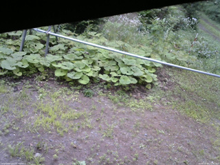 長野県菅平高原 ゆたか山荘 駐車場 2026/08/08 16:30