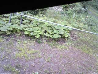 長野県菅平高原 ゆたか山荘 駐車場 2026/08/08 16:45