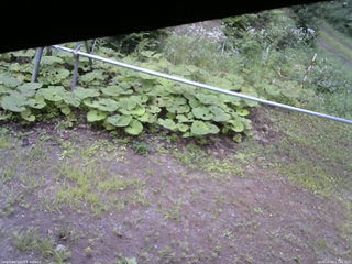 長野県菅平高原 ゆたか山荘 駐車場 2026/08/08 17:00