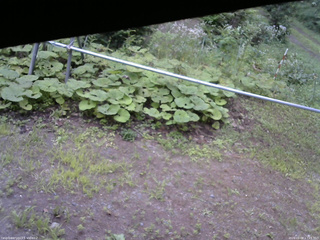長野県菅平高原 ゆたか山荘 駐車場 2026/08/08 17:15