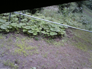 長野県菅平高原 ゆたか山荘 駐車場 2026/08/08 17:30