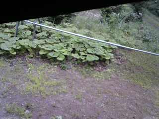 長野県菅平高原 ゆたか山荘 駐車場 2026/08/08 17:45