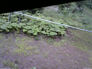 長野県菅平高原 ゆたか山荘 駐車場 2026/08/08 18:00