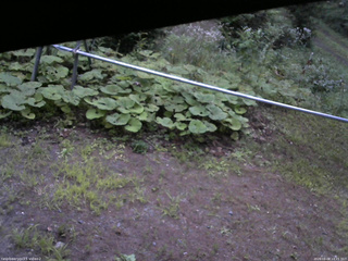 長野県菅平高原 ゆたか山荘 駐車場 2026/08/08 18:15